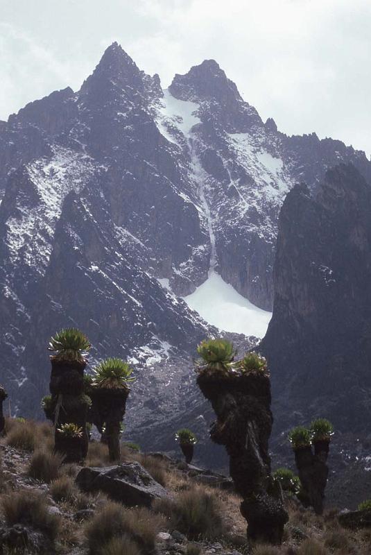RWT 0204 221-25 Kenya Diamond Glacier.jpg